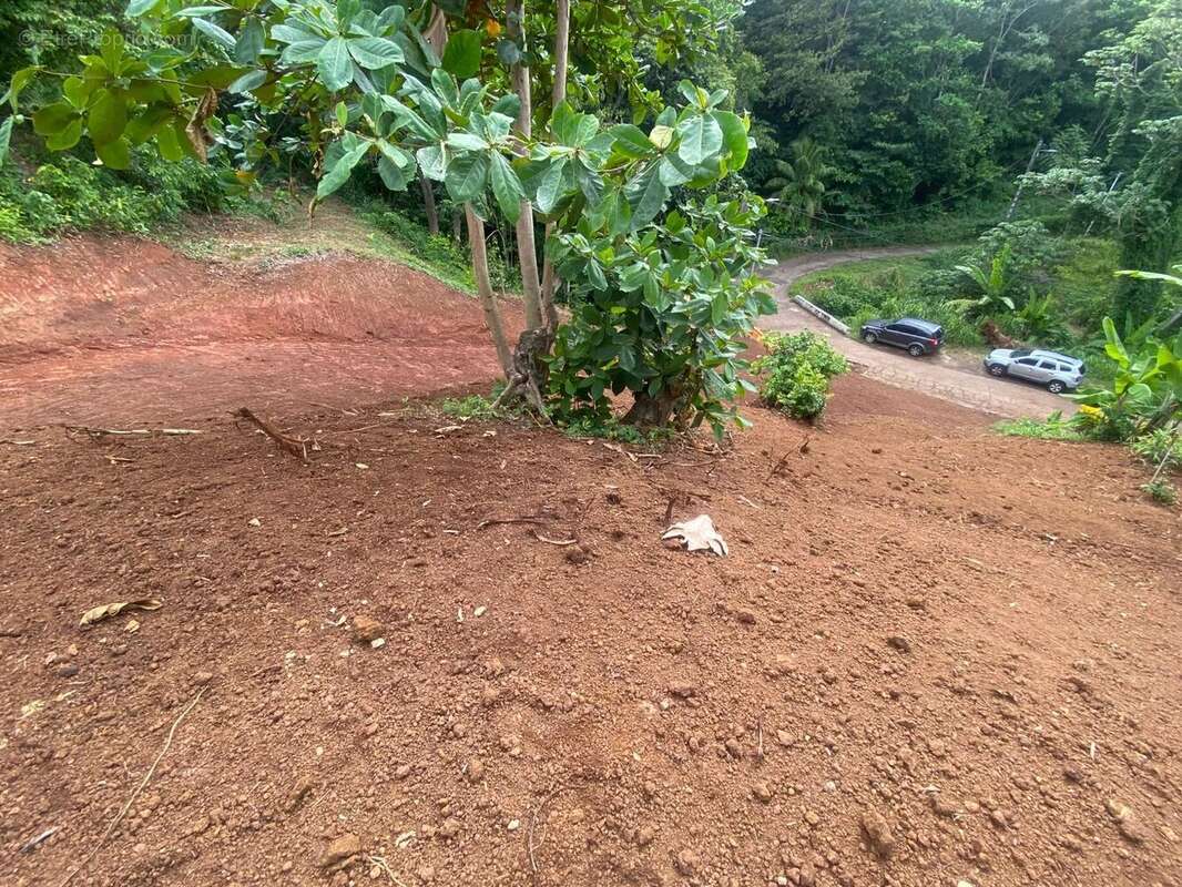 Terrain à LA TRINITE