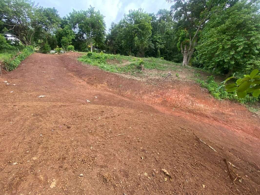 Terrain à LA TRINITE