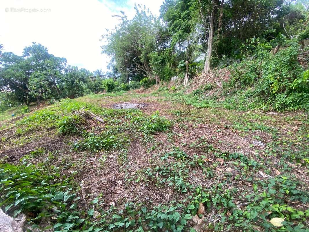 Terrain à LA TRINITE