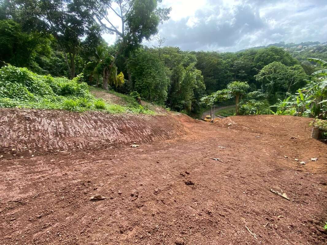 Terrain à LA TRINITE