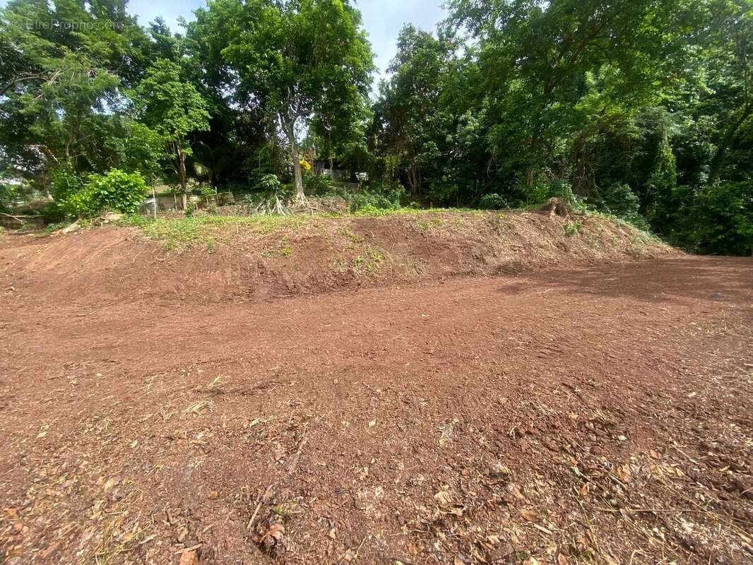 Terrain à LA TRINITE