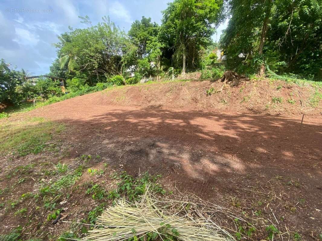 Terrain à LA TRINITE