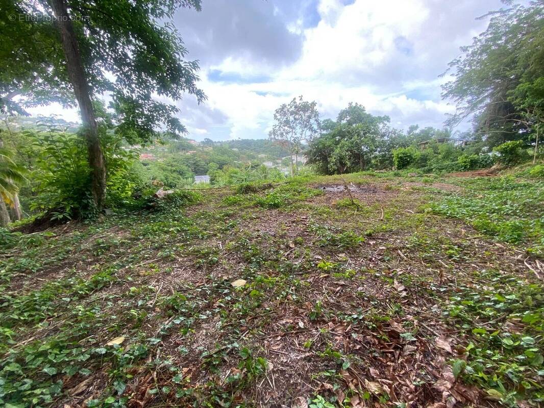 Terrain à LA TRINITE