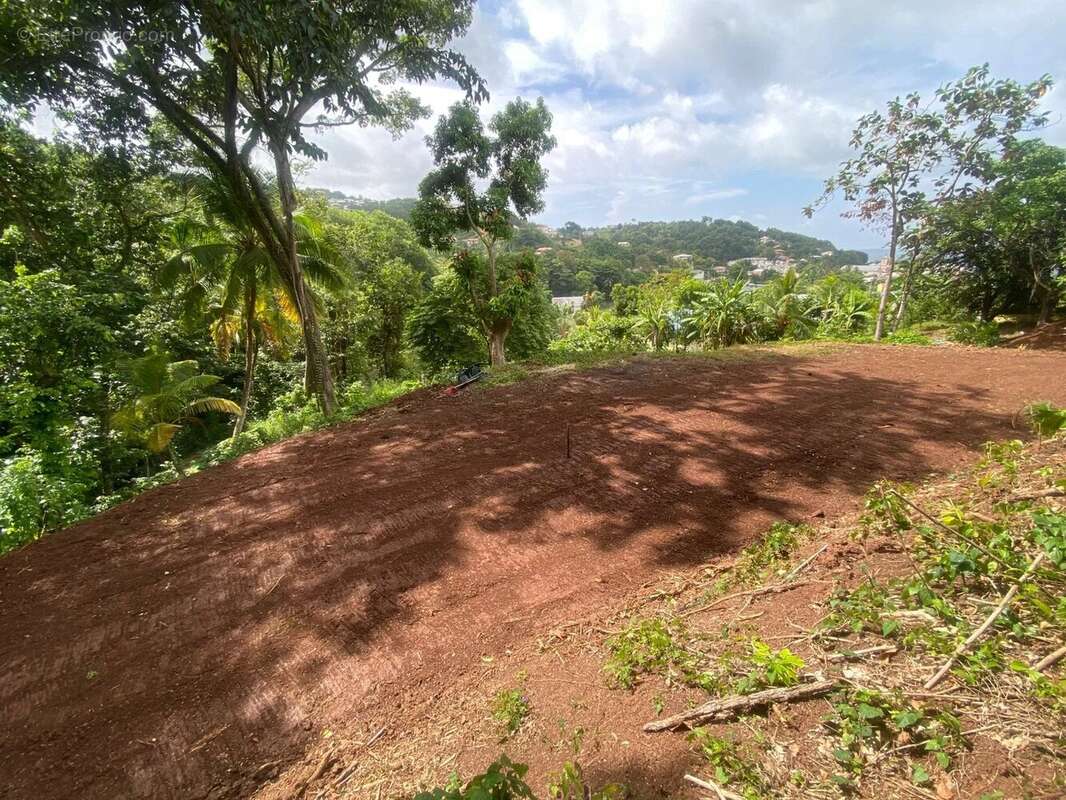 Terrain à LA TRINITE