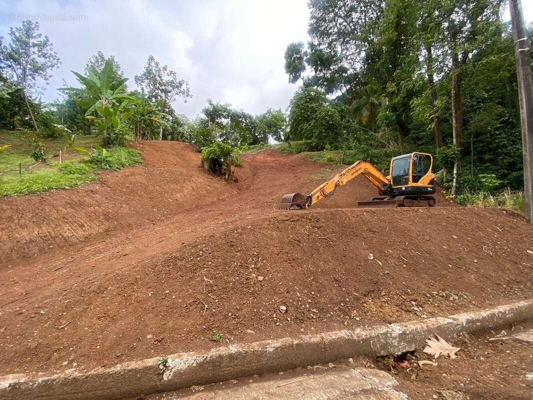 Terrain à LA TRINITE