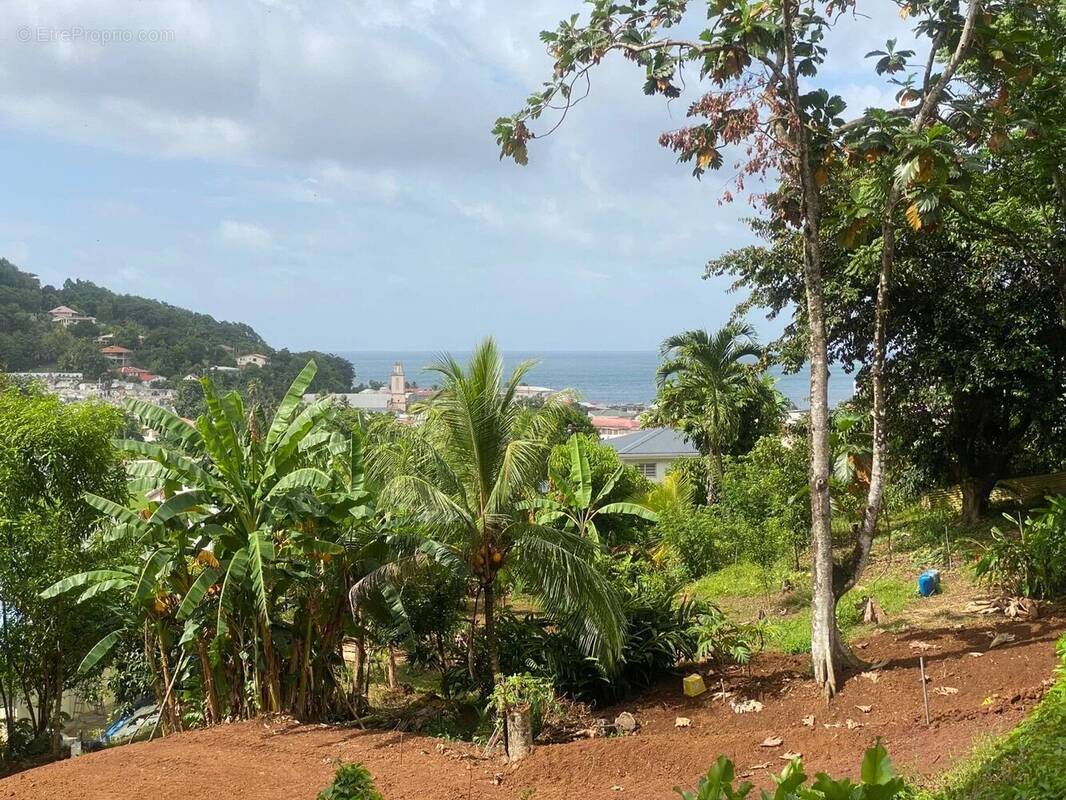 Terrain à LA TRINITE