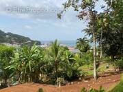 Terrain à LA TRINITE