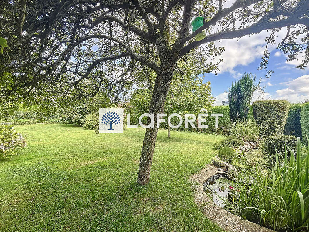 Maison à LE MESNIL-ESNARD