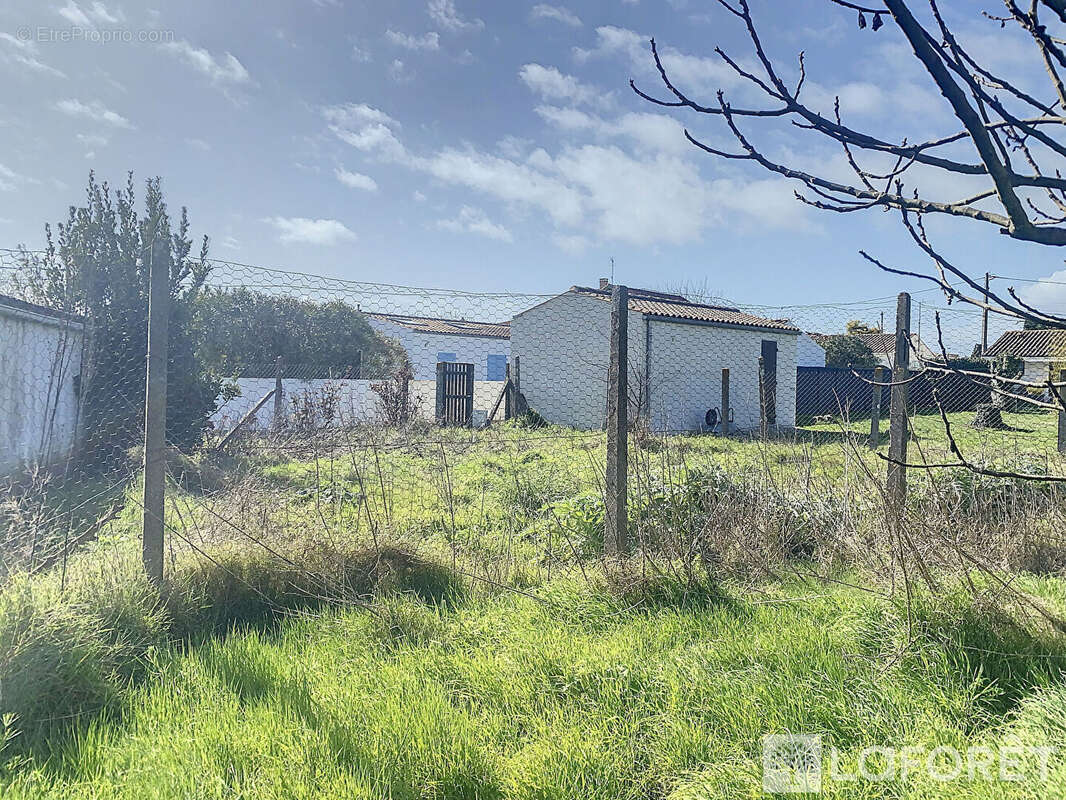 Terrain à SAINT-GEORGES-D&#039;OLERON