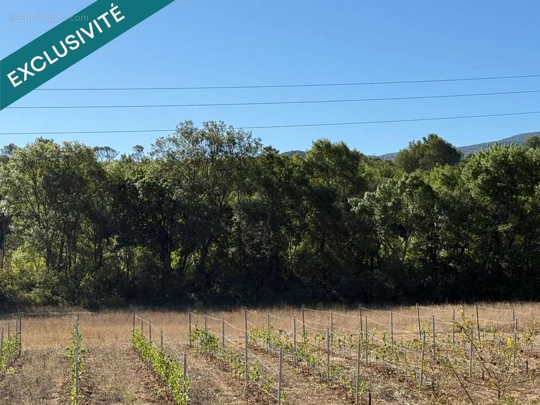 Photo 2 - Terrain à NANS-LES-PINS