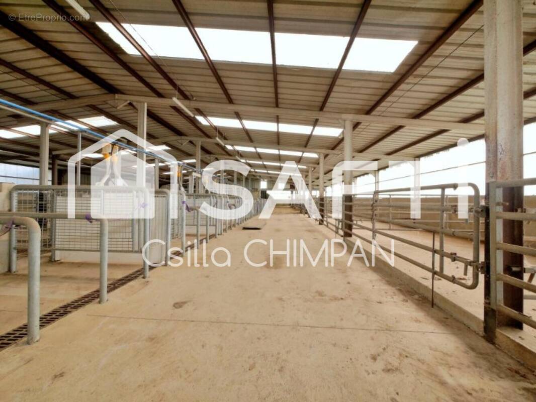 Photo 1 - Maison à TREGROM