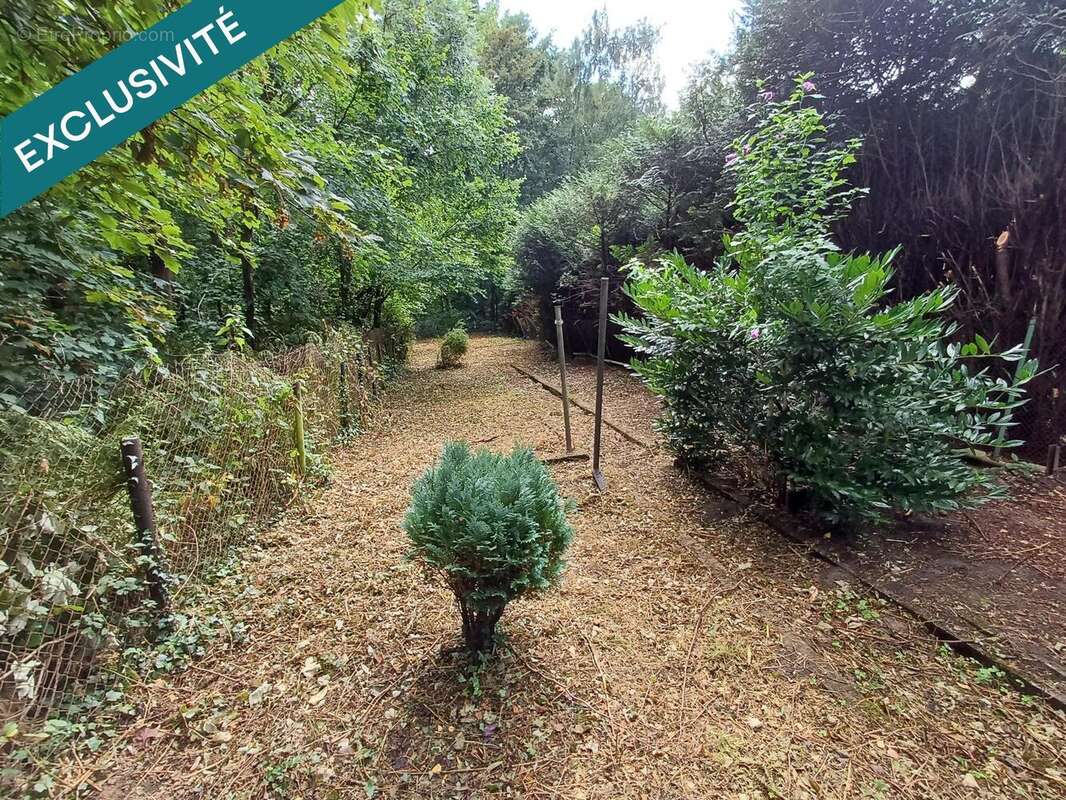 Photo 5 - Maison à PETITE-ROSSELLE