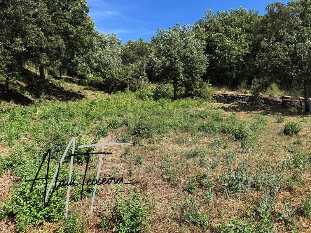 Photo 2 - Terrain à TARADEAU