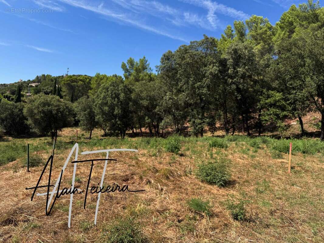 Photo 3 - Terrain à TARADEAU