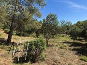 Photo 1 - Terrain à TARADEAU