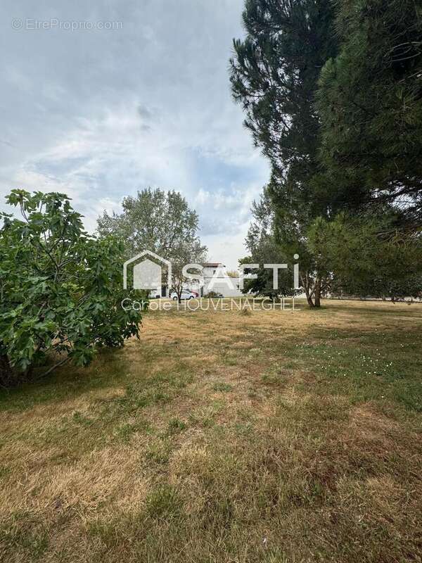 Photo 5 - Terrain à LAMASQUERE