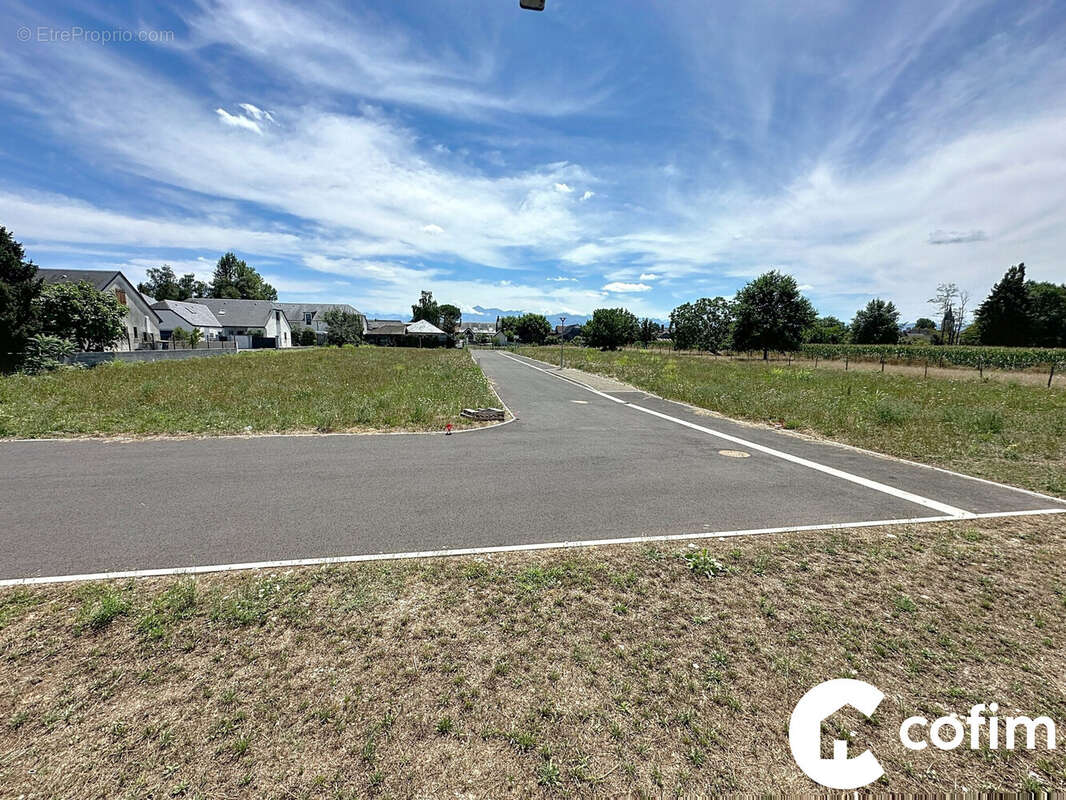 Terrain à LALOUBERE