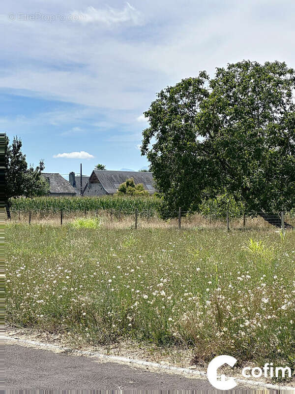 Terrain à LALOUBERE