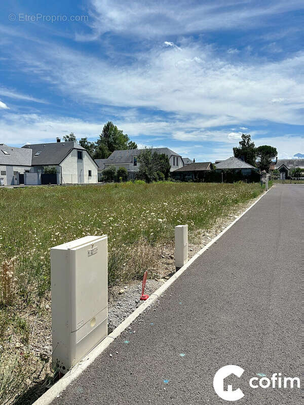 Terrain à LALOUBERE