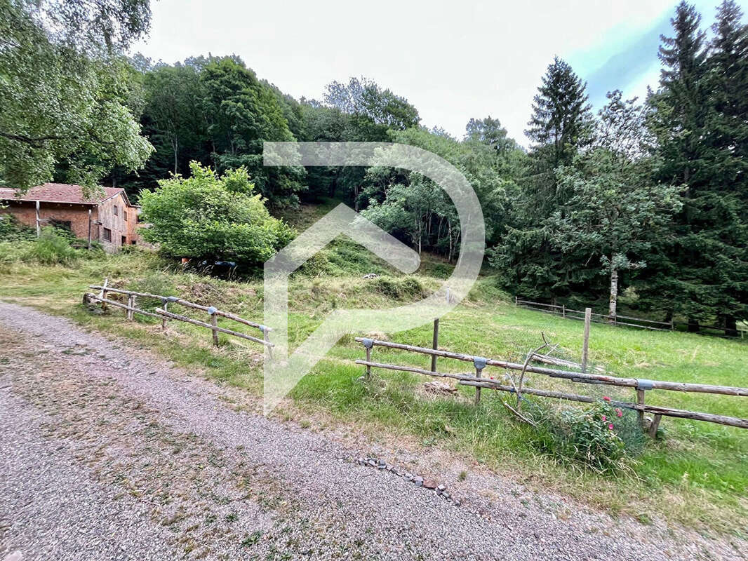 Terrain à RIBEAUVILLE