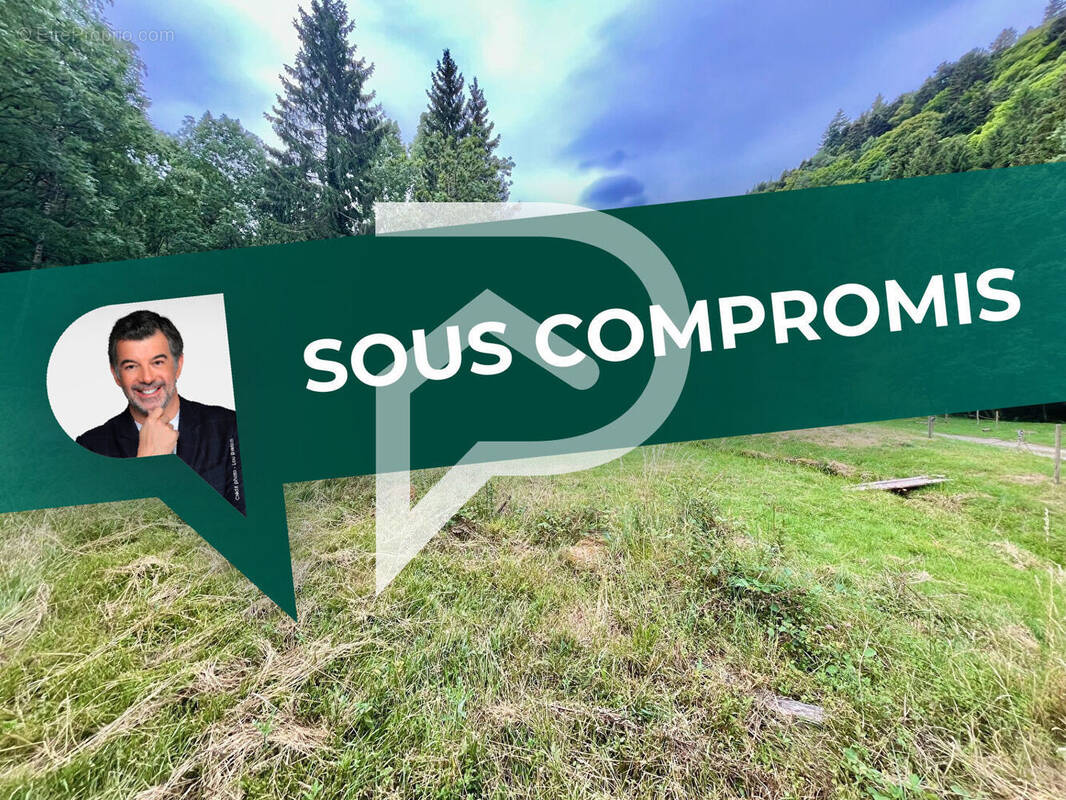 Terrain à RIBEAUVILLE