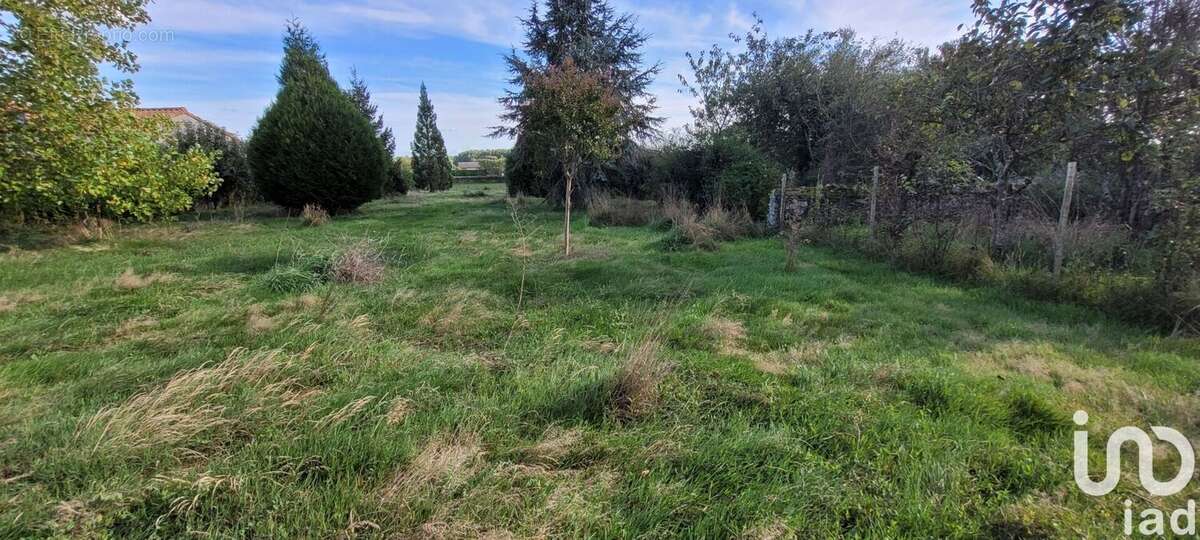 Photo 4 - Maison à LA MEILLERAIE-TILLAY