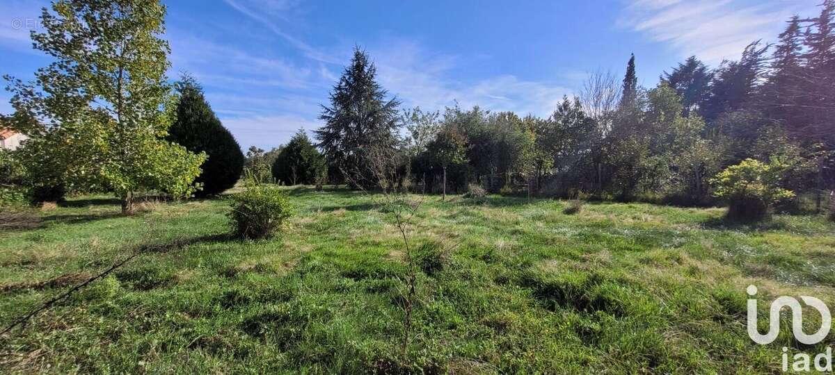 Photo 5 - Maison à LA MEILLERAIE-TILLAY