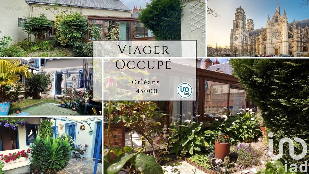 Photo 1 - Maison à ORLEANS