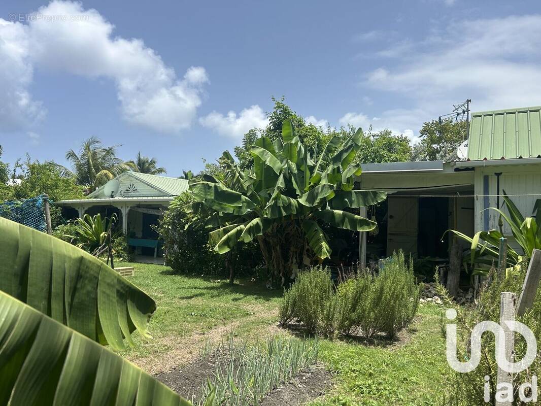 Photo 1 - Maison à SAINT-FRANCOIS