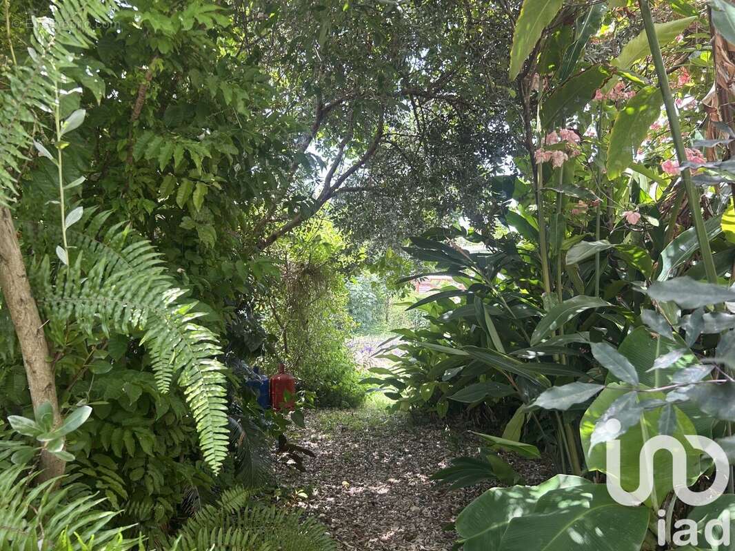 Photo 5 - Maison à SAINT-FRANCOIS