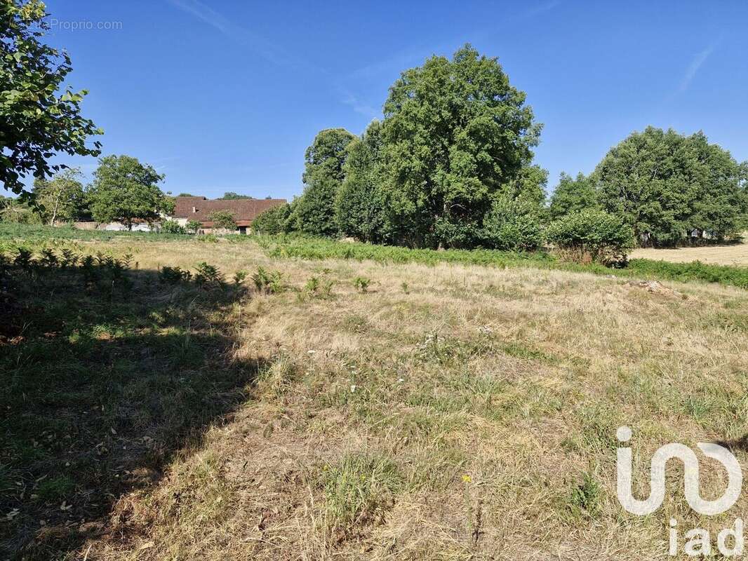 Photo 2 - Terrain à COGNAC-LA-FORET
