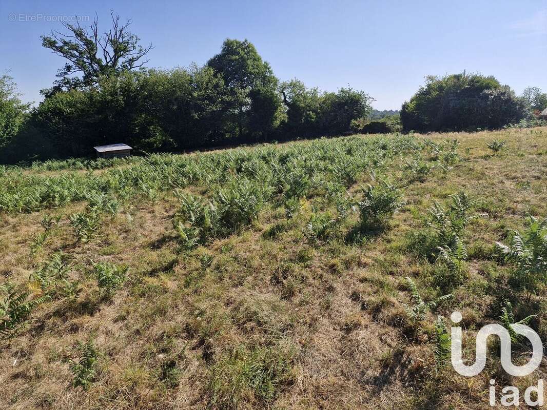 Photo 3 - Terrain à COGNAC-LA-FORET