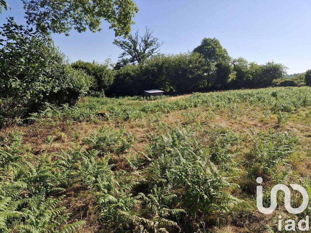 Photo 4 - Terrain à COGNAC-LA-FORET