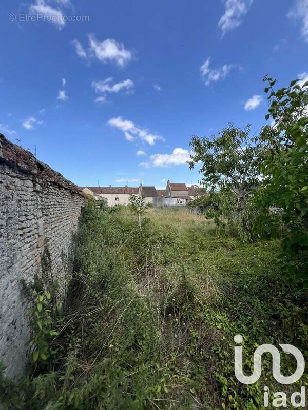 Photo 3 - Terrain à DEMOUVILLE