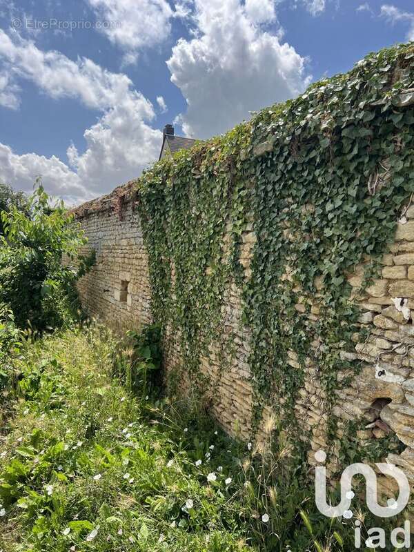 Photo 5 - Terrain à DEMOUVILLE