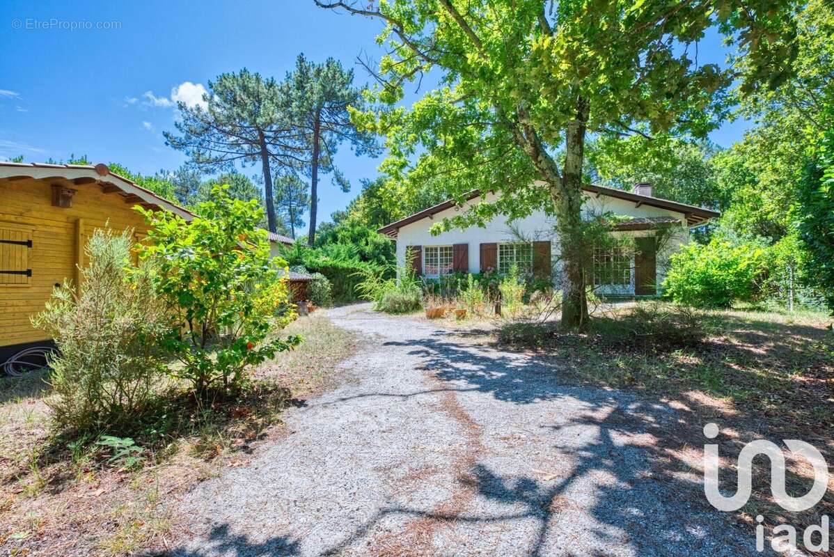 Photo 3 - Maison à LEGE-CAP-FERRET