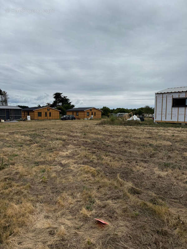 Terrain à SAINT-PIERRE-QUIBERON