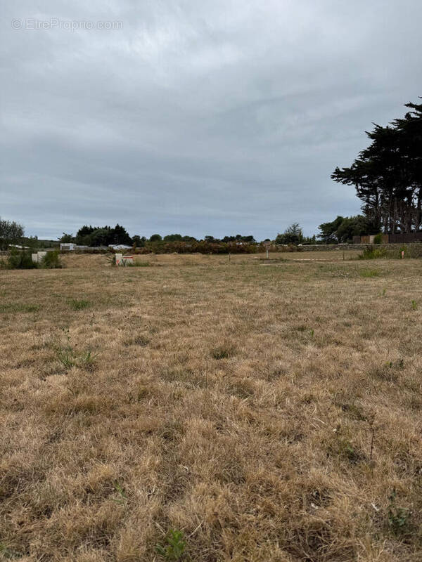 Terrain à SAINT-PIERRE-QUIBERON