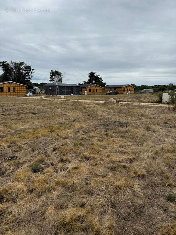 Terrain à SAINT-PIERRE-QUIBERON
