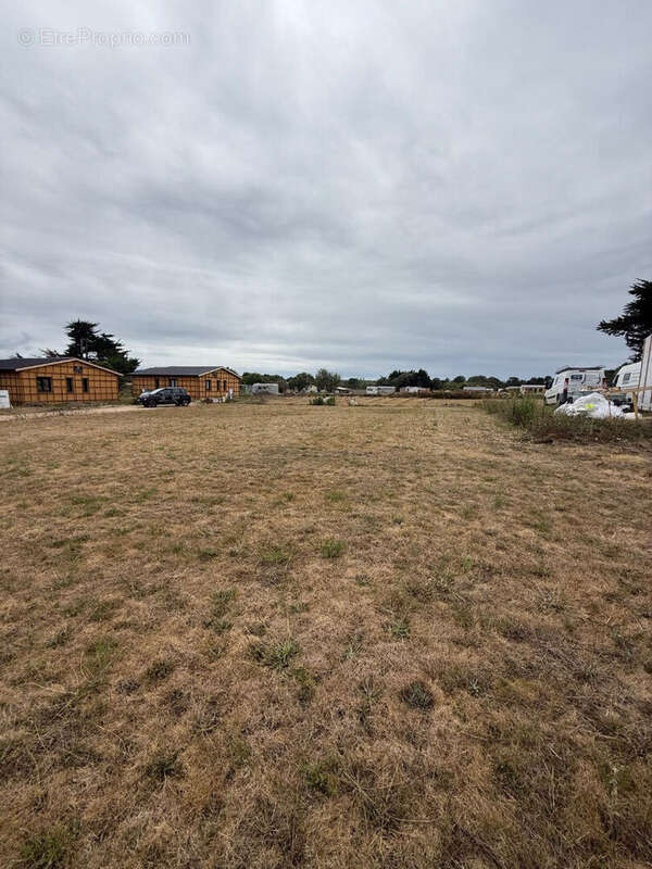 Terrain à SAINT-PIERRE-QUIBERON