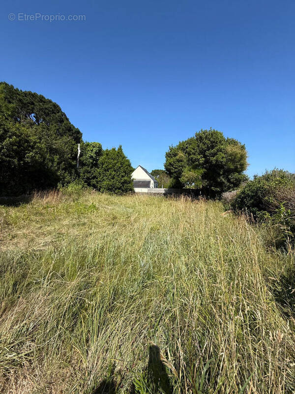 Terrain à SAINT-PIERRE-QUIBERON