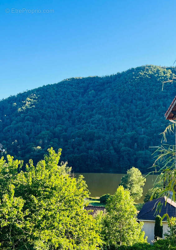 Terrain à SAINT-PAUL-EN-CORNILLON
