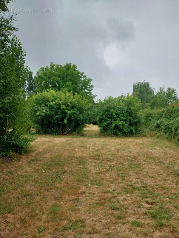 Terrain à SAINT-SATURNIN
