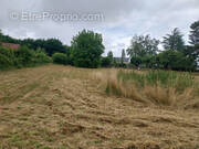Terrain à SAINT-SATURNIN