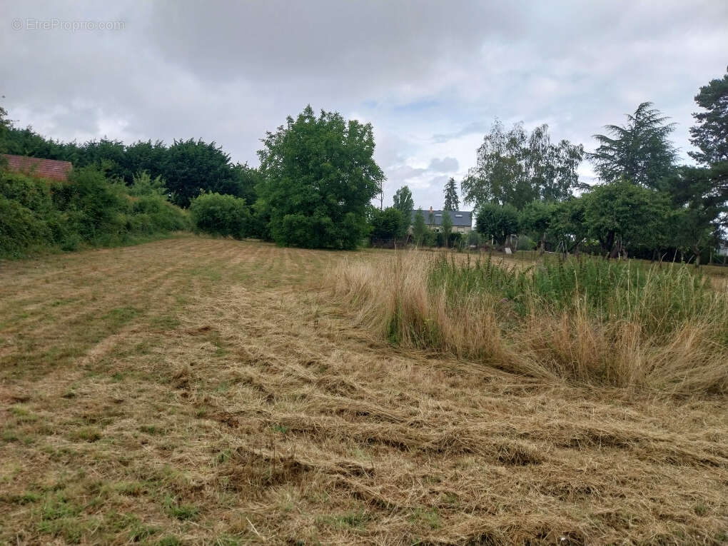 Terrain à SAINT-SATURNIN