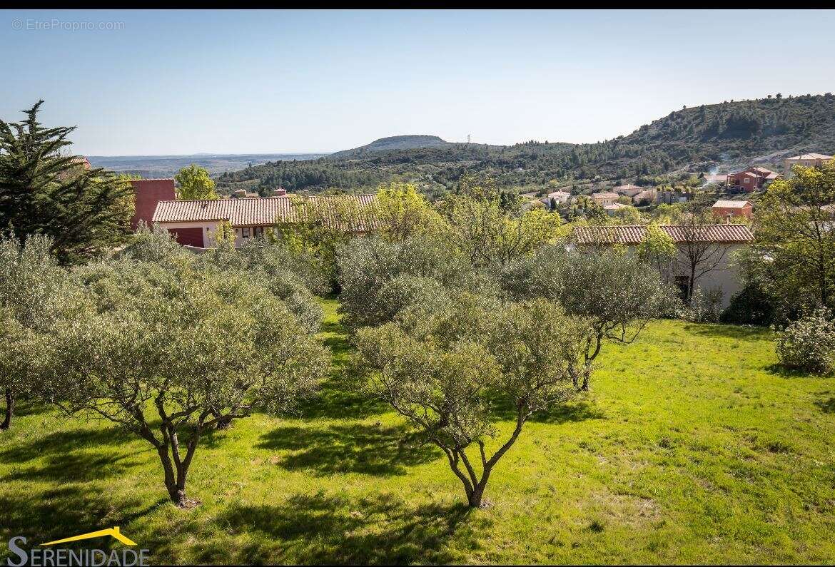 Terrain à PEZENAS