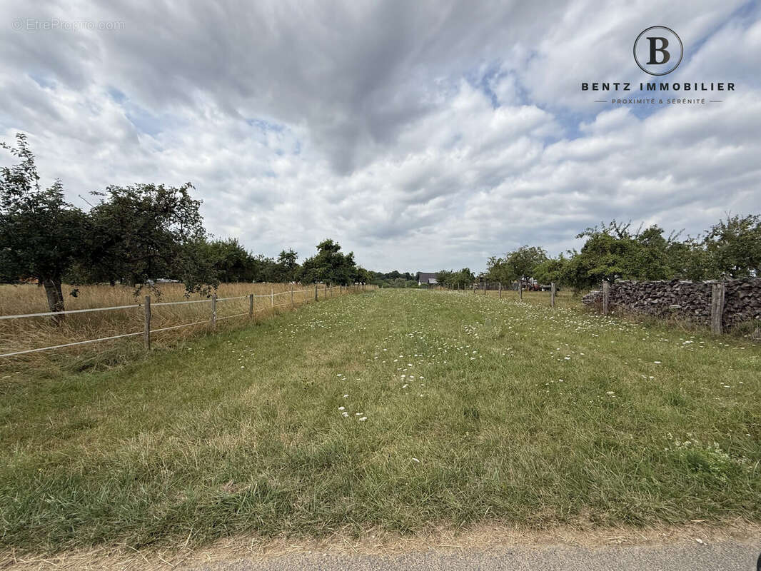 Arrière parcelle - Terrain à ASSWILLER