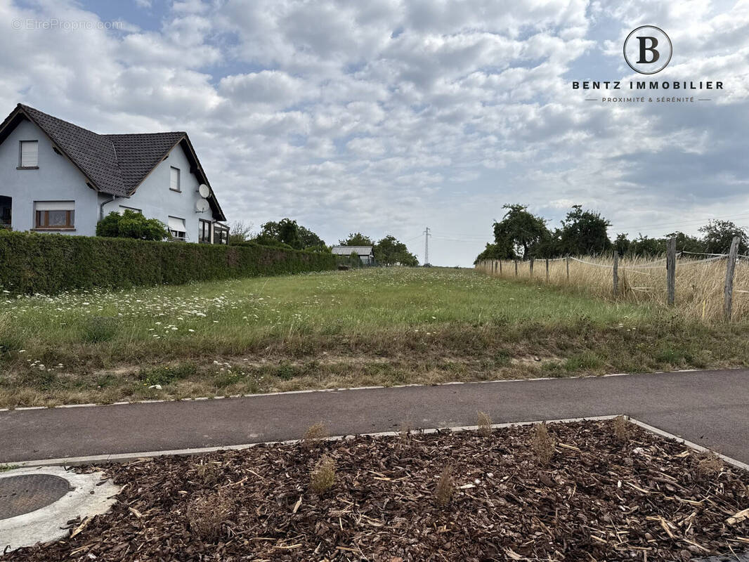 Entrée parcelle rue de Durstel - Terrain à ASSWILLER