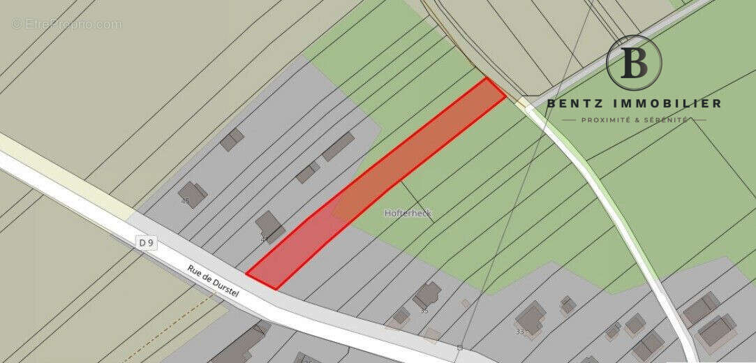 Terrain à ASSWILLER