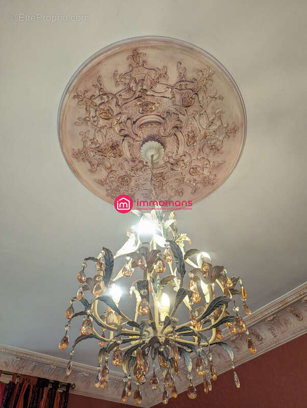 Maison à BEAUMONT-SUR-SARTHE